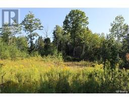 115.66 acres Rte 108, derby, New Brunswick