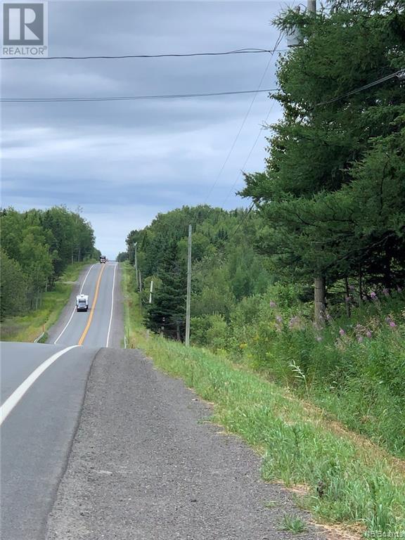 Lot Vacant 17 Route, Saint Leonard-Parent, New Brunswick  E7E 2N7 - Photo 5 - NB077713