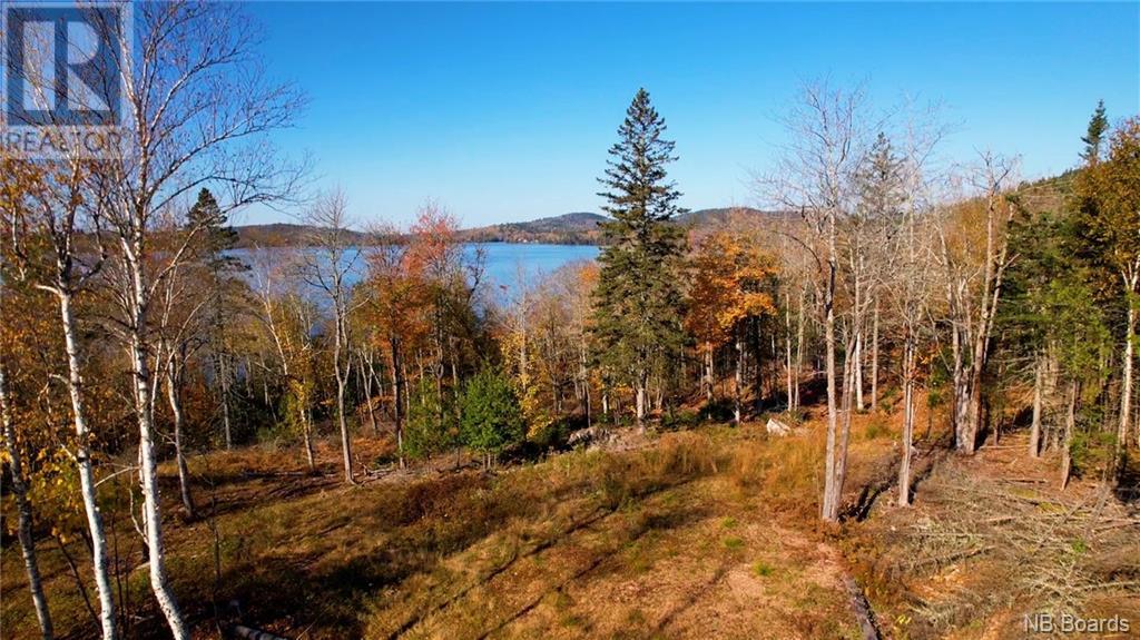 Lot 2021-02 Frye Road, chamcook, New Brunswick