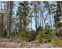 Lot 01 Beaverbrook Road, miramichi, New Brunswick