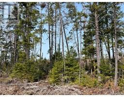 Lot 03 Beaverbrook Road, miramichi, New Brunswick