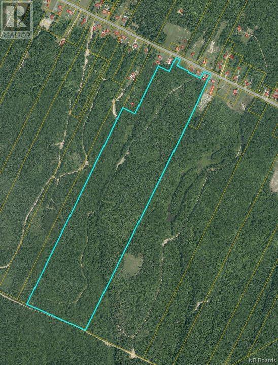 94.1 acres Rte 450, saint-wilfred, New Brunswick