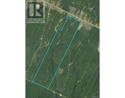 94.1 acres Rte 450, saint-wilfred, New Brunswick