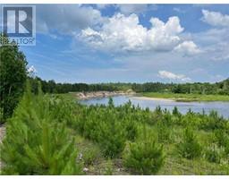 Lot 99-1 Red Pine Lane, sillikers, New Brunswick