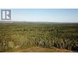 Woodlot Route 595, bull lake, New Brunswick