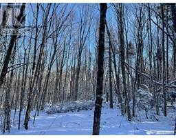 Lot 1 Lisson Settlement Road, lisson settlement, New Brunswick