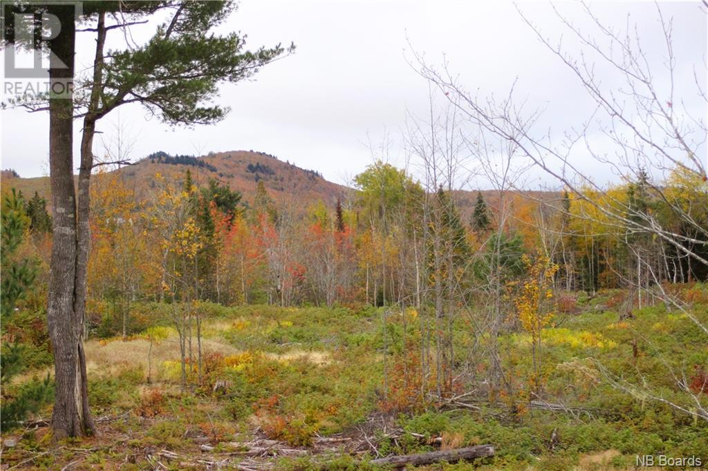 Vacant Lake Road South, upham, New Brunswick