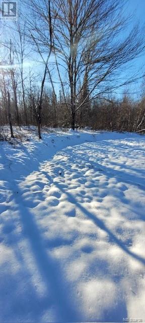 - Stevens Road, cambridge-narrows, New Brunswick